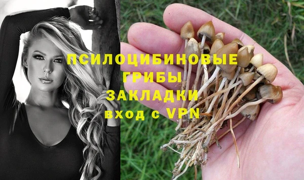 ешки Балахна