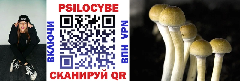 ОМГ ОМГ вход  Вилючинск  Галлюциногенные грибы ЛСД 